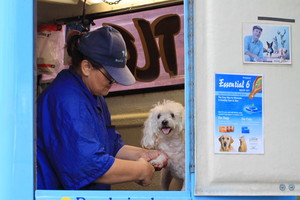 TLC Mobile Dog Grooming Pic 3