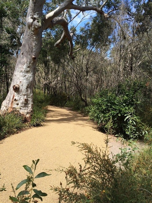 Statewide Bitumen Pic 1 - Autumn Gold Bitumen Walkway