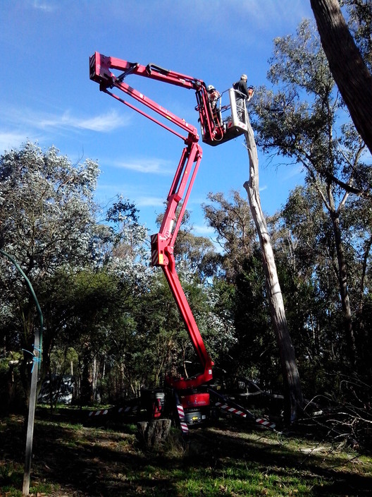 RML Access Tree Services Pic 1 - EWP19