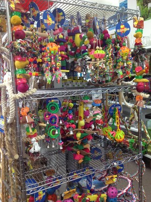 Cheapa Pet Stuff And Grooming Pic 3 - Bird Toys