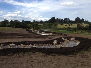 Stonetree Landscapes Pic 2 - Flowing water feature between two dams