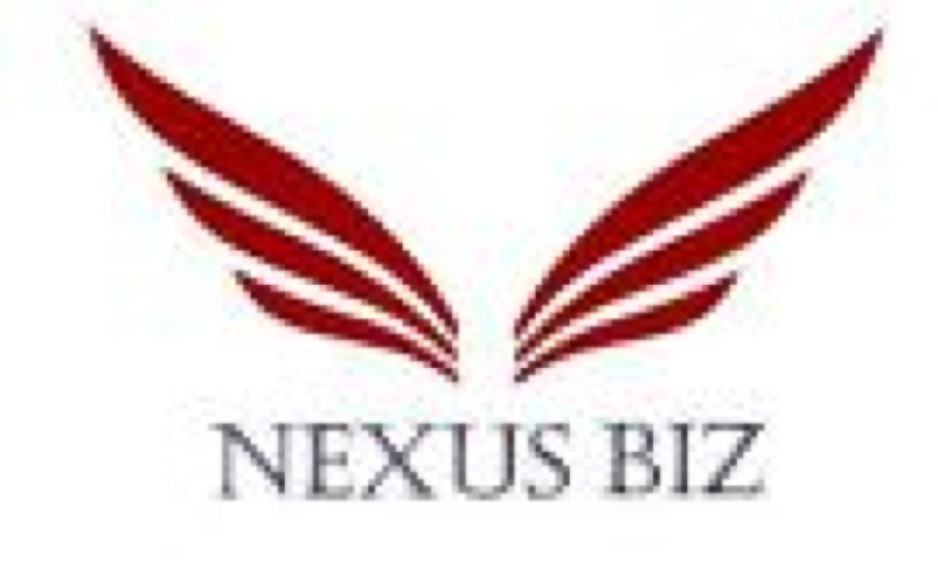 NexusBiz Pic 1