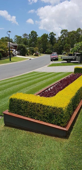 Turf 1 Pty Ltd Pic 1 - Lawn Installation