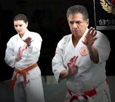 Croydon karate dojo sydney Pic 4