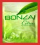 Herbal Incense World Suppliers Pic 1 - Bonzai Citrus herbal incense