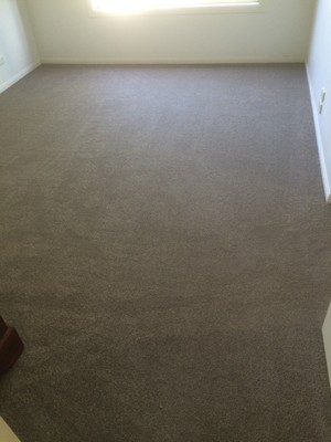 Floorwerx Pty Ltd Pic 4 - Luxfeel Carpet Maui Plush colour 76