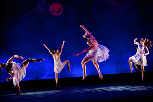 Toowoomba School Of Dance Pic 5