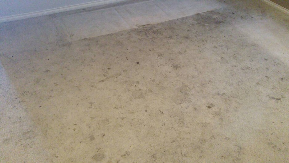 Xtreme Carpet And Tile Cleaning Pic 1 - Carpet cleaning Berwick