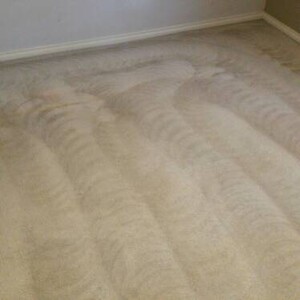 Xtreme Carpet And Tile Cleaning Pic 2 - Carpet cleaning Berwick