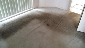 Xtreme Carpet And Tile Cleaning Pic 5 - Carpet cleaning Berwick