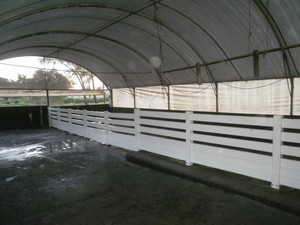 PolyFence & Yards Pic 4 - Eco shelter for pigs6 rail