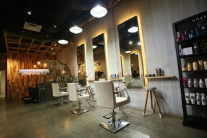 No210Salon Pic 4