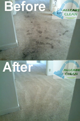 All Care Clean(Carpet&Upholstery) Pic 4