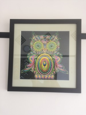 The Black Framer Pic 3 - This one is a HOOT