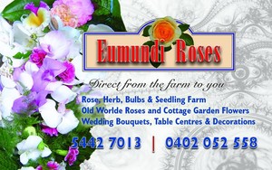 Eumundi Roses Pic 3 - Eumundi Roses also on facebook and Were local born and bred