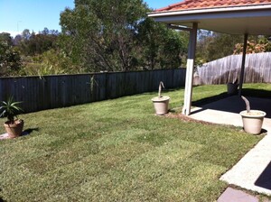 Home Scapes Pic 5 - turf