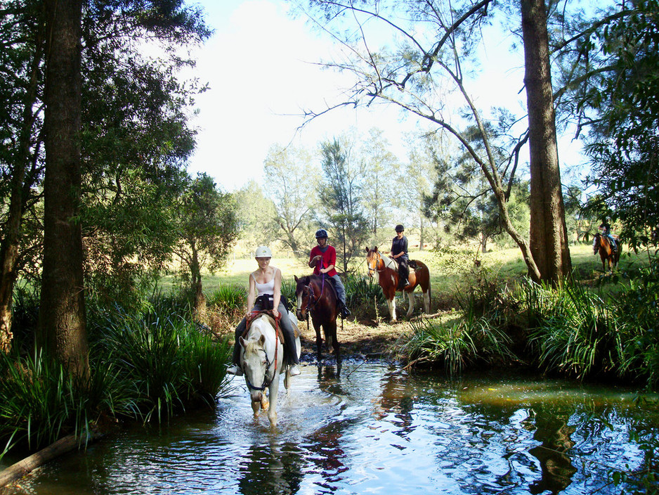 Bellrowan Valley Horse Riding Pic 1 - Frazers Creek Crossing We cross this creek on every ride