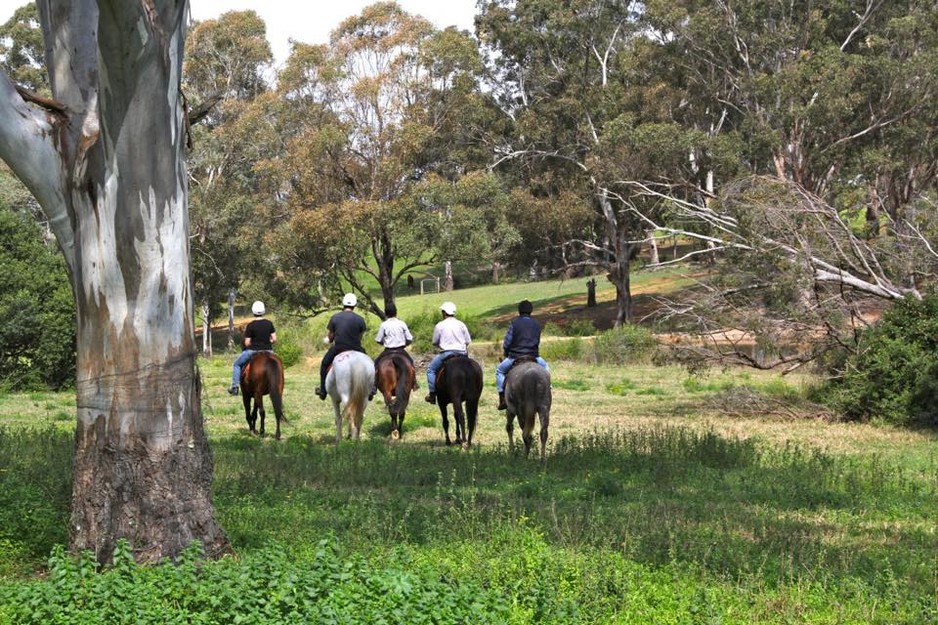 Scenic NSW Horse Riding Centre in Denham Court, Sydney, NSW, Horses & Equestrian TrueLocal