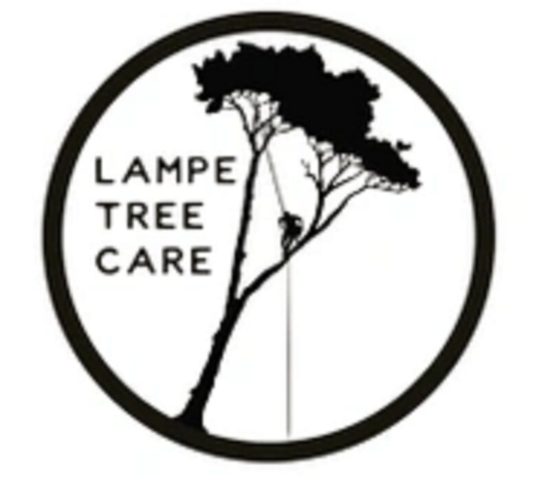 Lampe Tree Care Pic 1