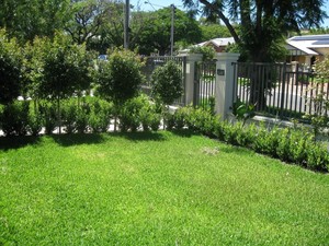 Complete Landscape & Garden Service Pic 3 - Lawn care