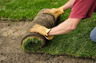 Peter Neil Garden Care Pic 1 - Turf Laying