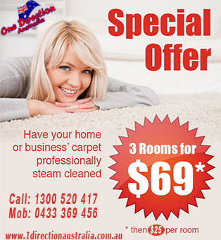 One Direction Australian Pty Ltd Pic 1 - Home Or Business Carpet Steam Cleaning