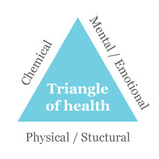 Fountain Of You Kinesiology Pic 3 - The Triangle Of Health