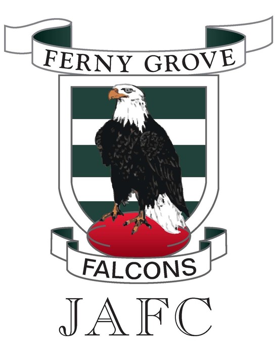 Ferny Grove Junior AFC Pic 1