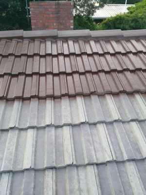 completeroofcare Pic 2 - Roof Painting by Complete Roof Care