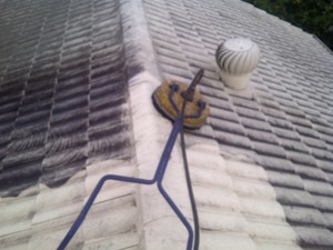 Roof Cleaning Services Brisbane Pic 2 - Tile Roof Cleaning Services