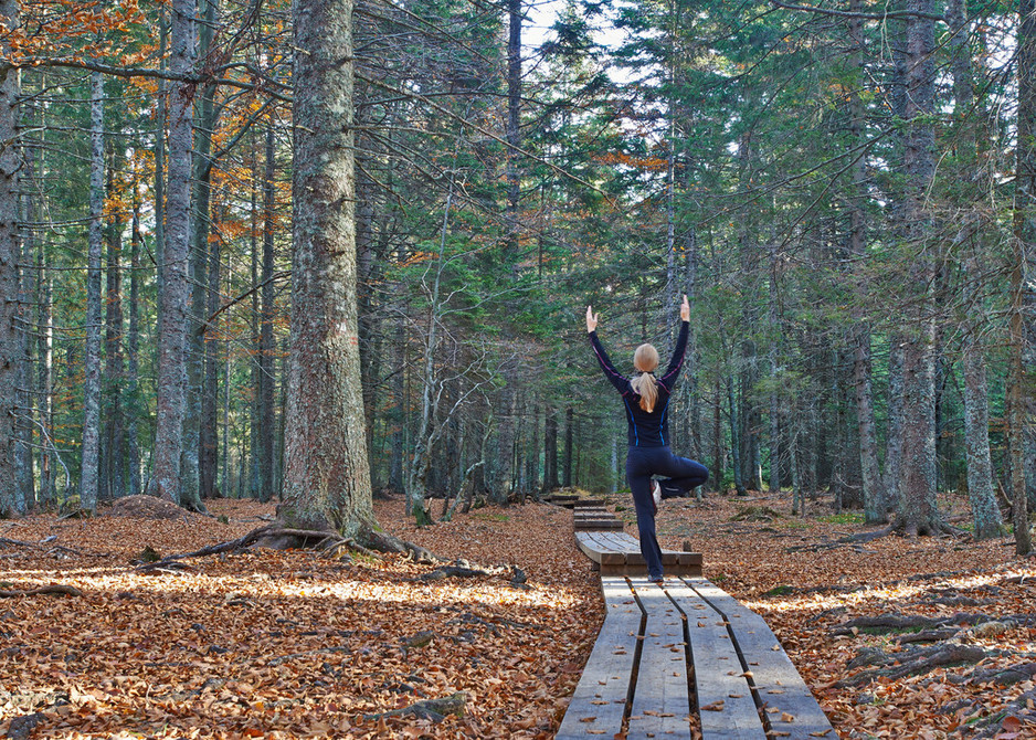 Ku-ring-gai Yoga Pic 1 - Kuringgai Yoga for your better health and wellbeing