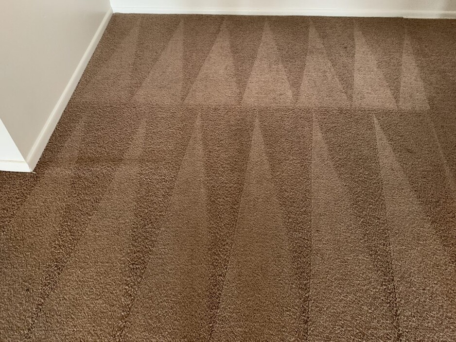 Carpet Cleaning Moorooka Pic 1