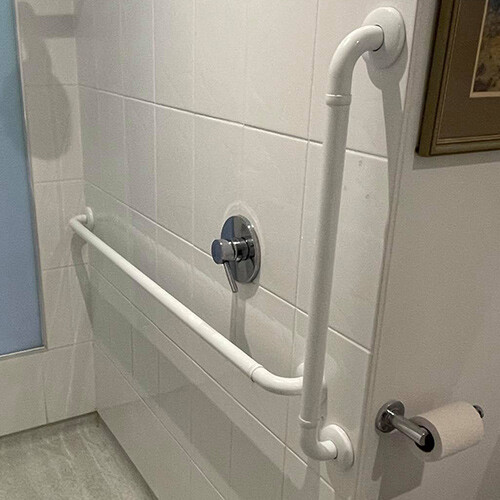 Disability Relief Pic 1 - Bathroom Handrails