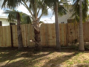 Brisbane Building Solutions Pic 4 - Pine fencing