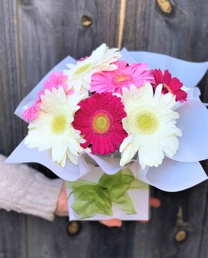 Melbourne Fresh Flowers Pic 3 - Gerbera Box Arrangement Online Melbourne