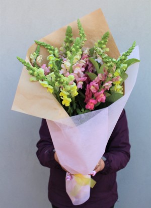 Melbourne Fresh Flowers Pic 2 - Snapdragoan Bouquet Delivery Melbourne