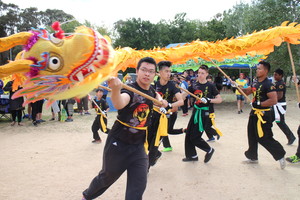 Canberra Dragon Dance Pic 4 - Book us for Chinese New Year and other festivals in Canberra