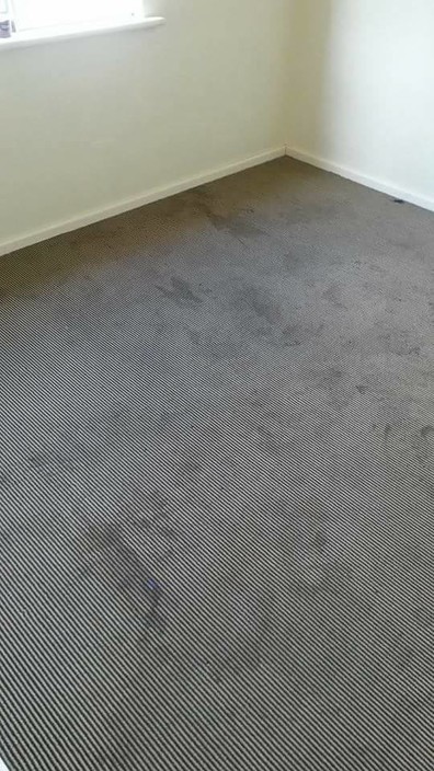 Ezyclean Carpet Cleaning Pic 1 - Before