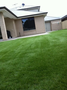 Paving  Adelaide Pic 2 - Adelaide Artificial lawn 08 8232 1996