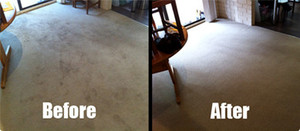 Carpet Cleaning Sydney Pic 2