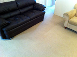 Carpet Cleaning Sydney Pic 1