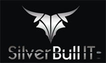 Silver Bull IT Pic 1