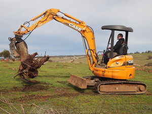 Dmp Earthworks Pic 2 - Removal of stumps with tight access excavator or medium sized excavator