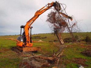 Dmp Earthworks Pic 3 - Removal of any kind of rubbish