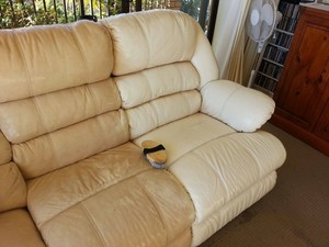 Drymaster Carpet Cleaning - Melbourne Pic 3 - Leather Sofa cleaning