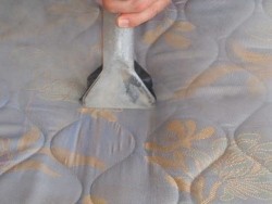 Drymaster Carpet Cleaning - Melbourne Pic 5 - Mattress Cleaning