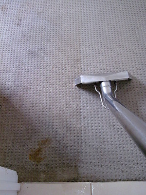 Jim's Carpet Cleaning Sydney Pic 5