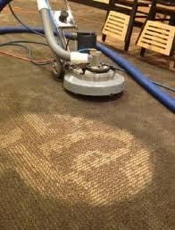 Jim's Carpet Cleaning Sydney Pic 3 - Bonnet Deep Clean