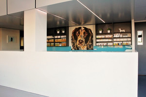 Balmain Veterinary Hospital Pic 2