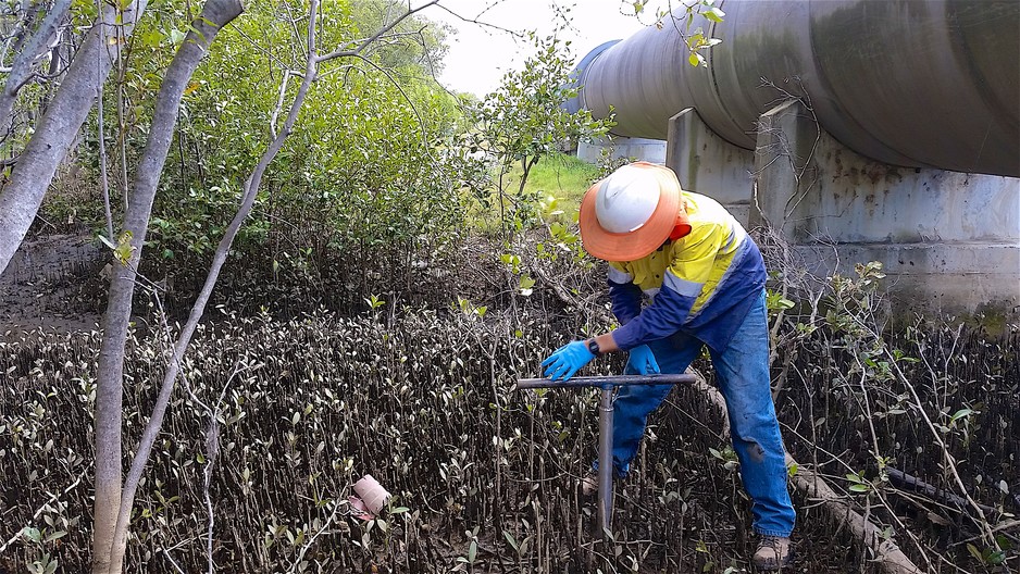 PSK Environmental Pic 1 - Hand augering to retrieve sediment and porewater samples for analysis